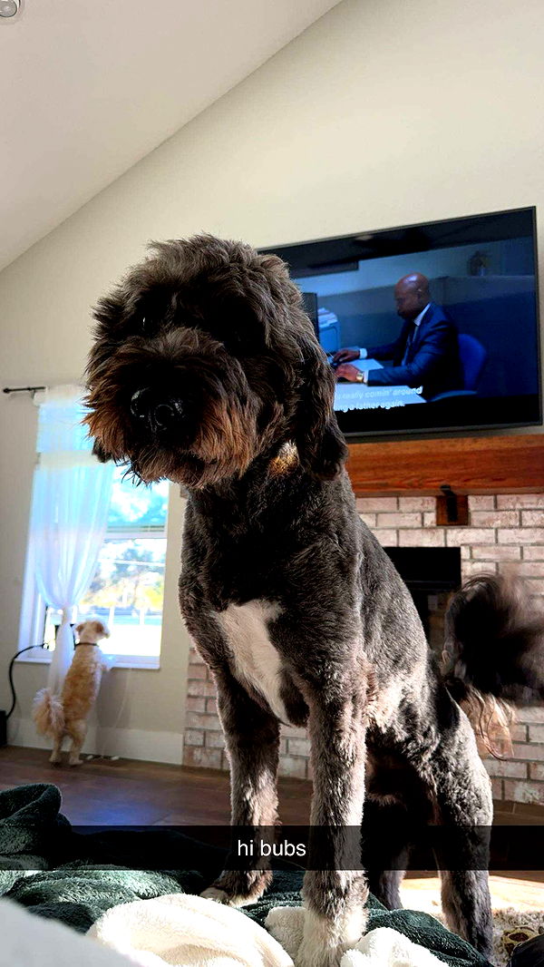 kkierstenking image ~ Altpins