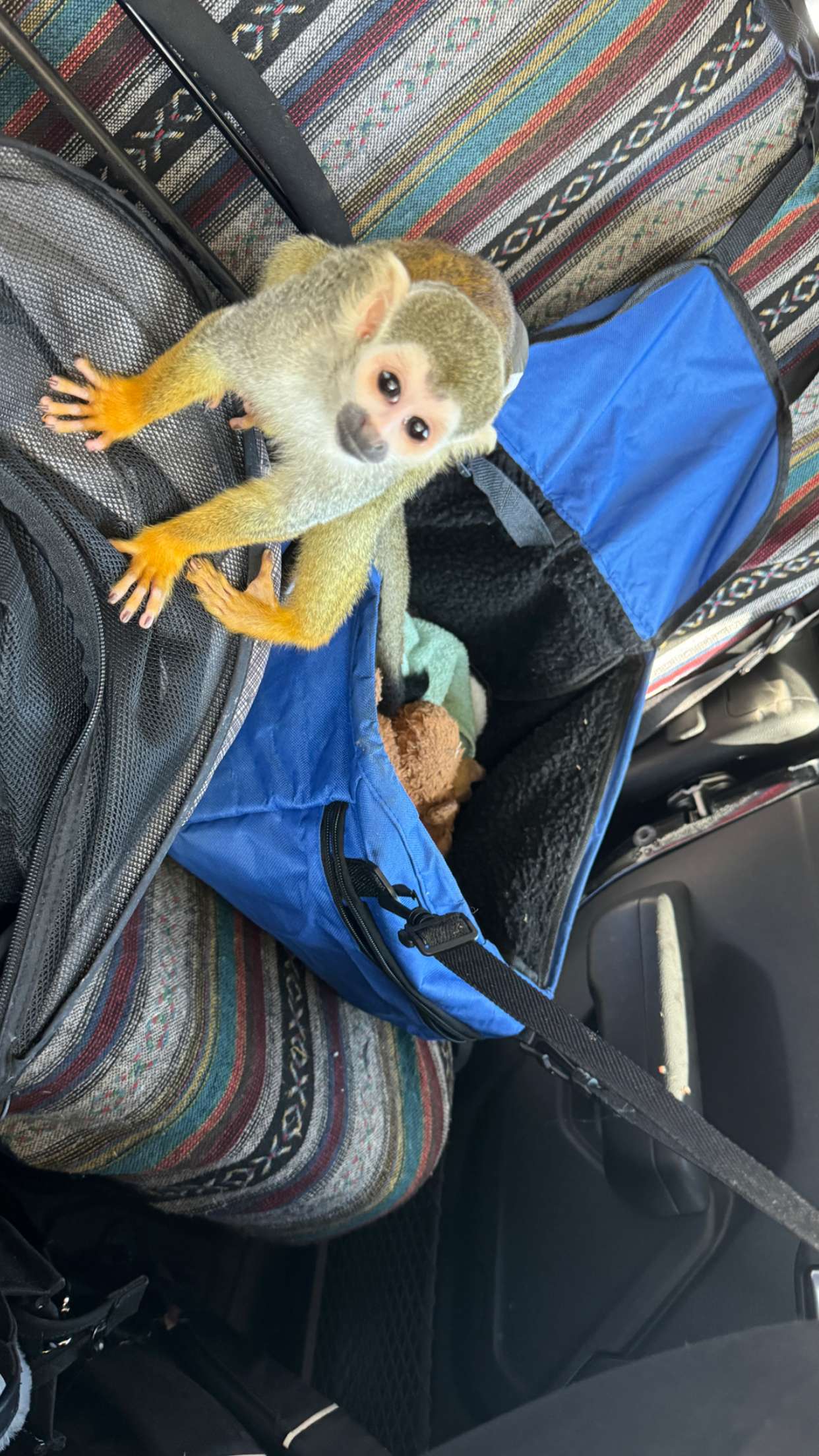 kkierstenking snapchat image archive image