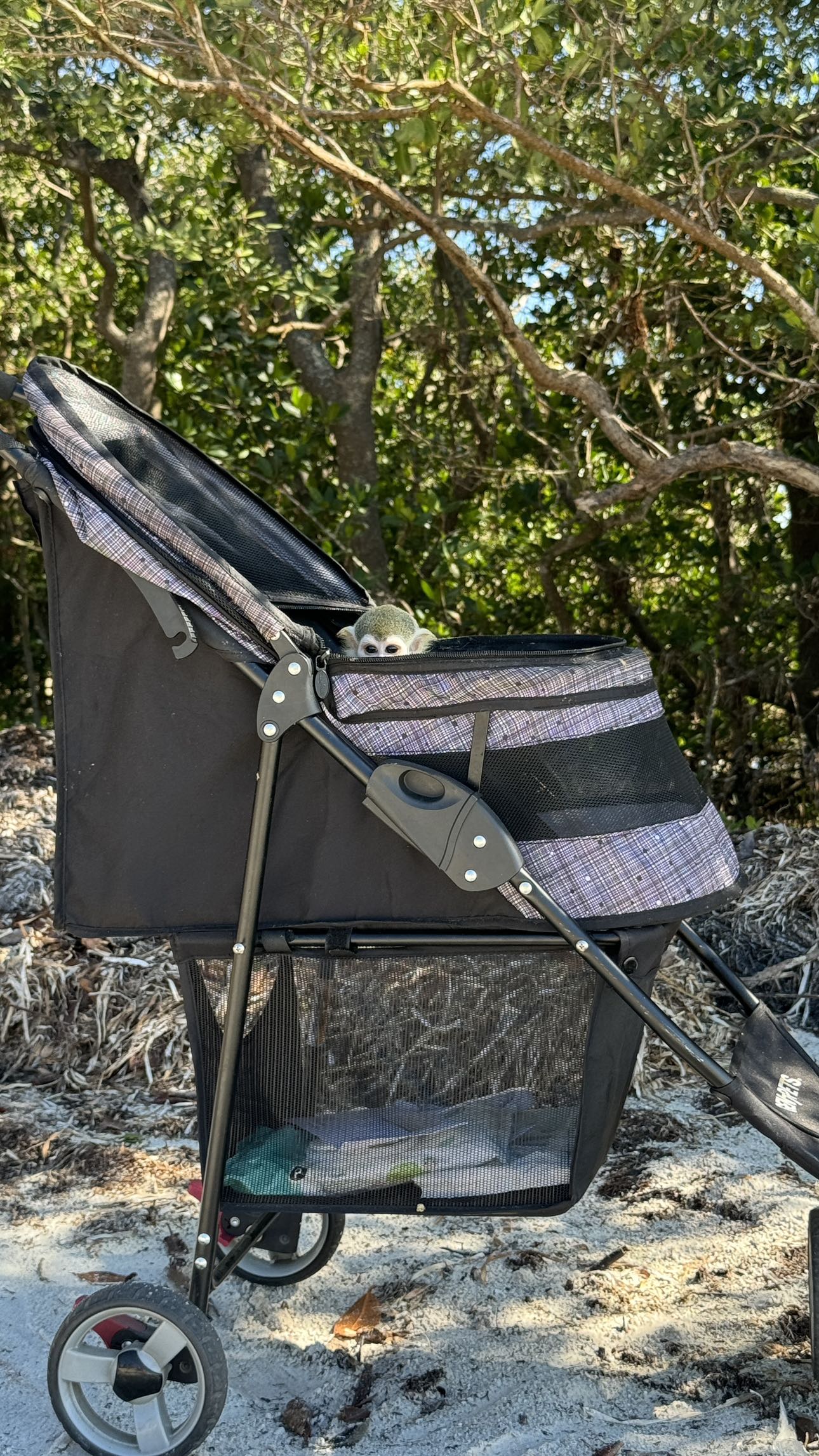 kkierstenking snapchat image archive image