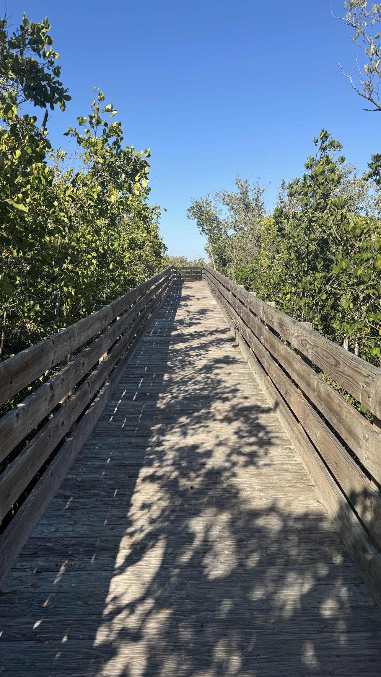 kkierstenking snapchat image archive image