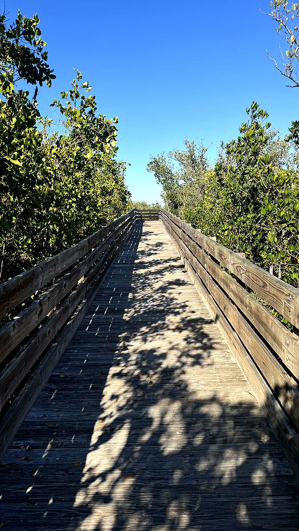 kkierstenking image ~ Altpins