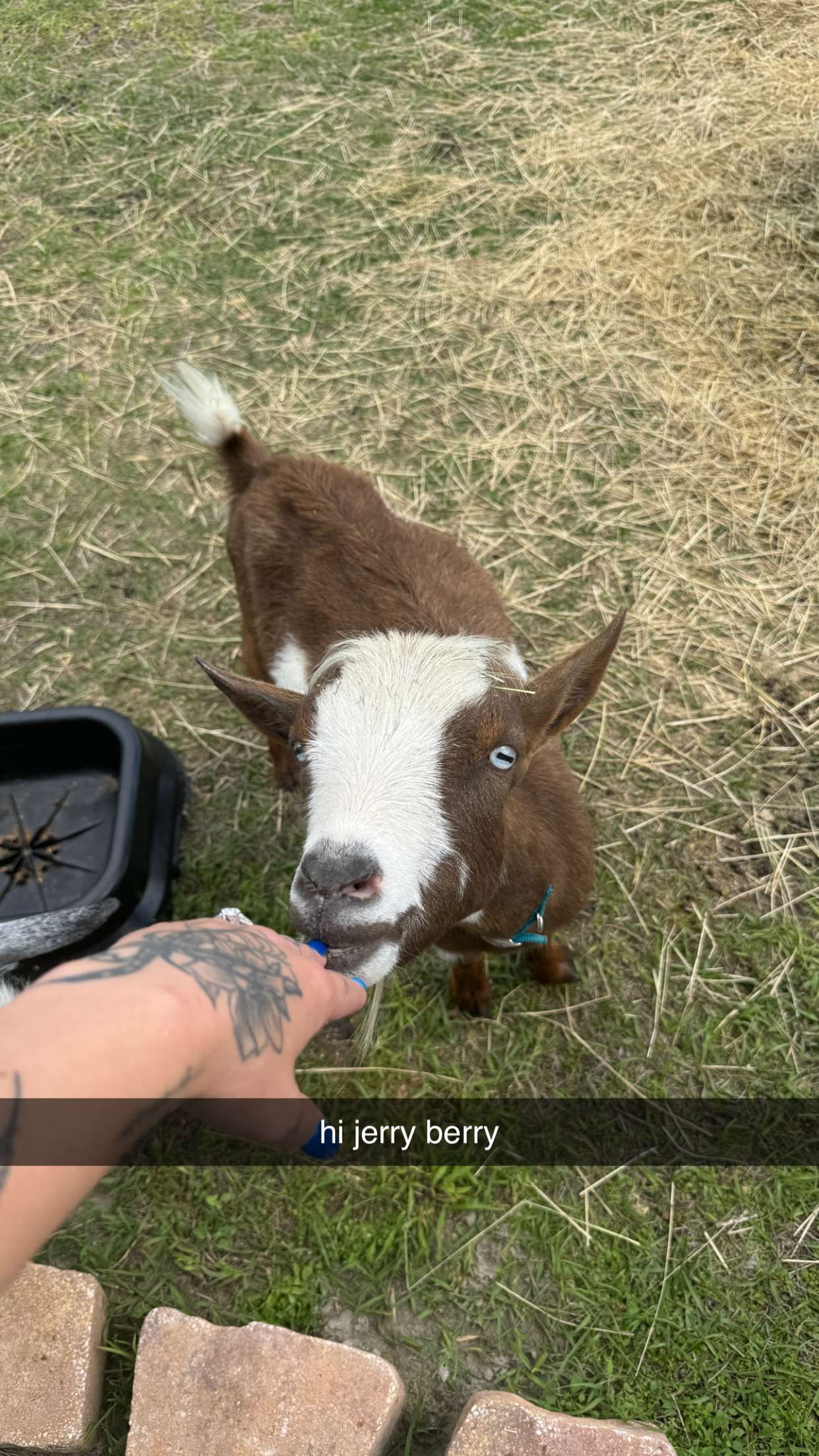 kkierstenking snapchat image archive image