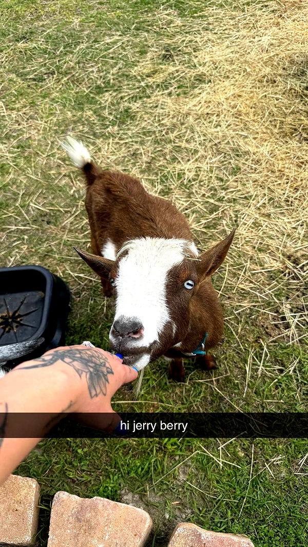 kkierstenking image ~ Altpins