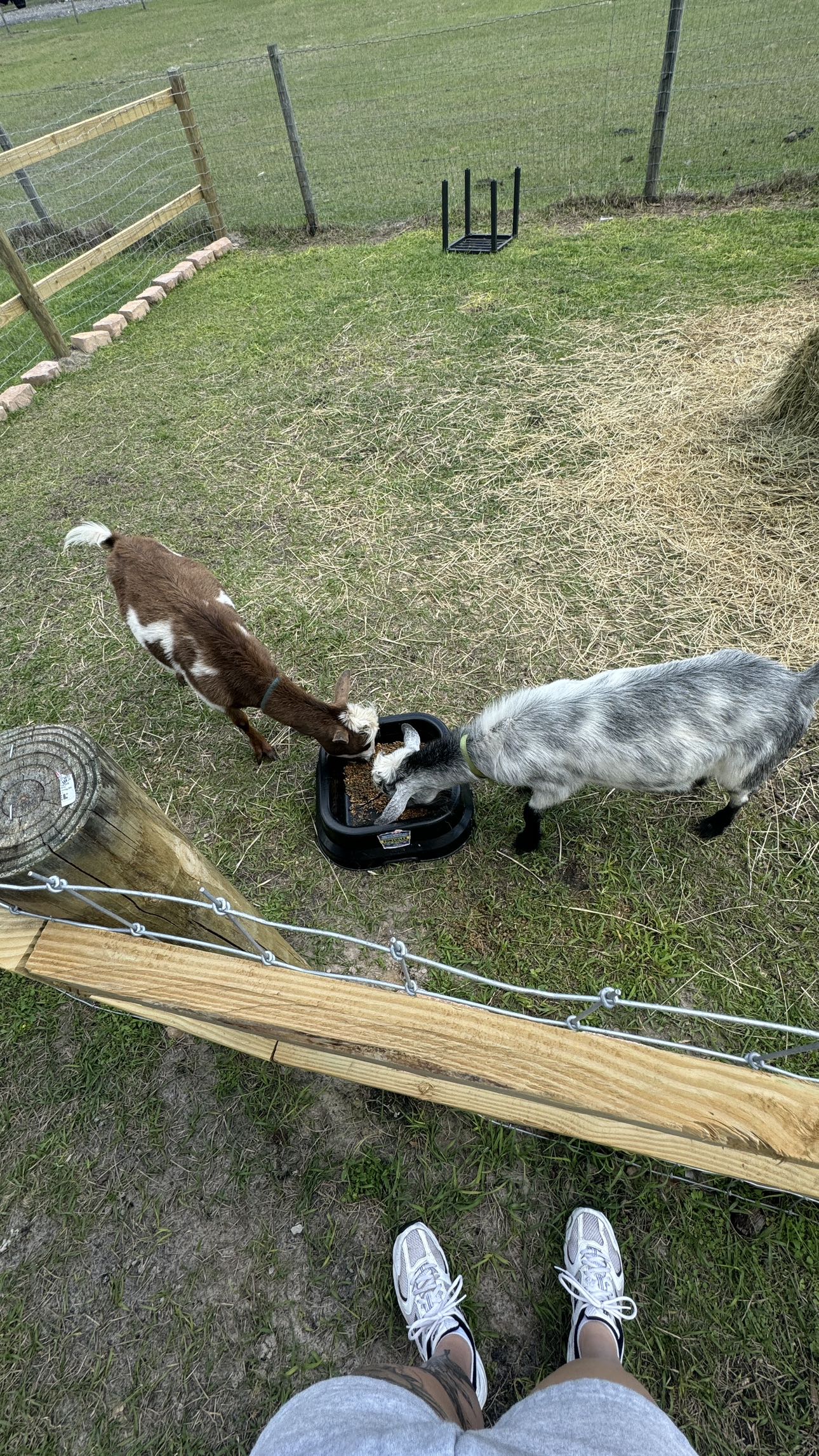 kkierstenking snapchat image archive image