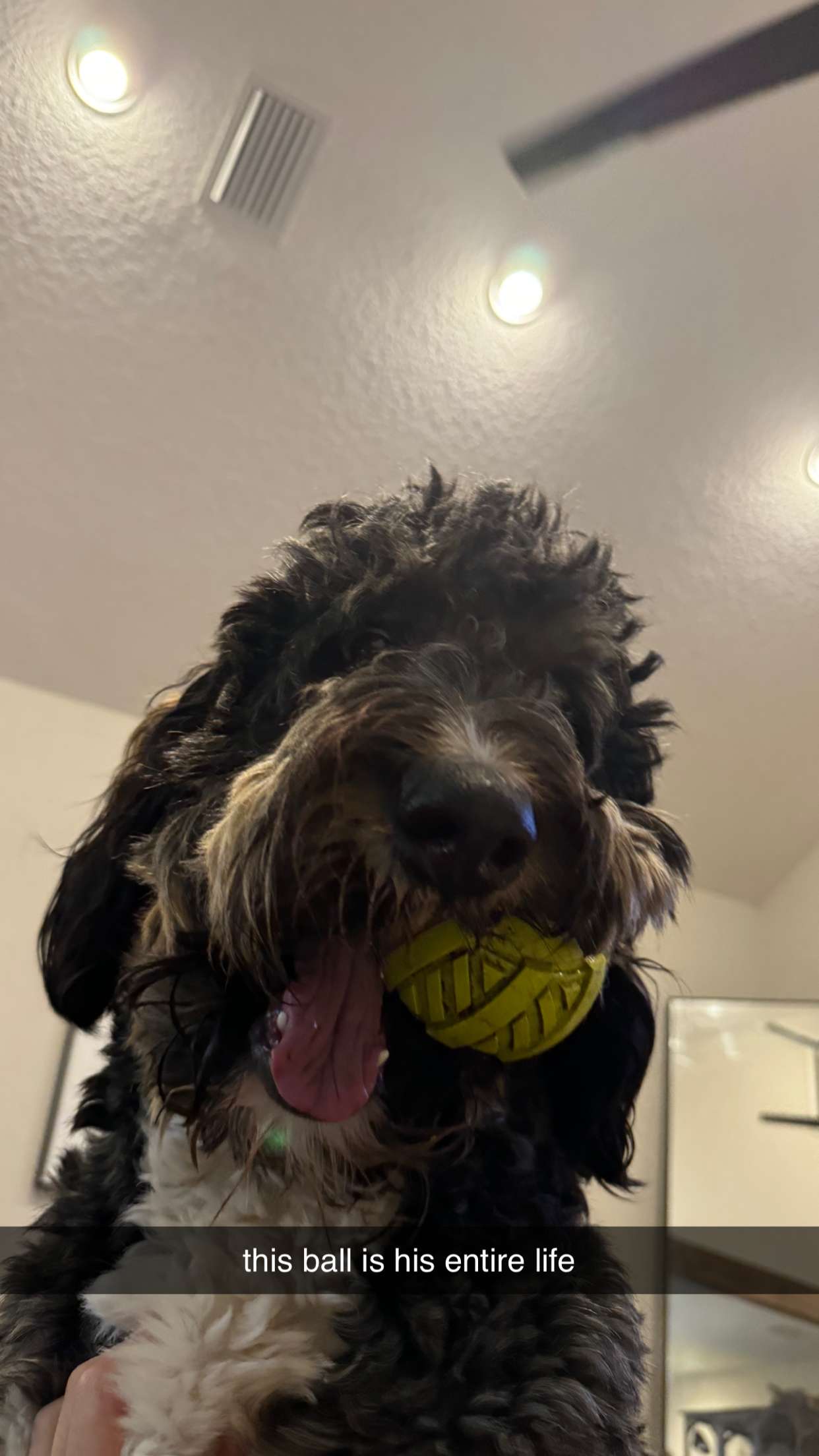 kkierstenking snapchat image archive image