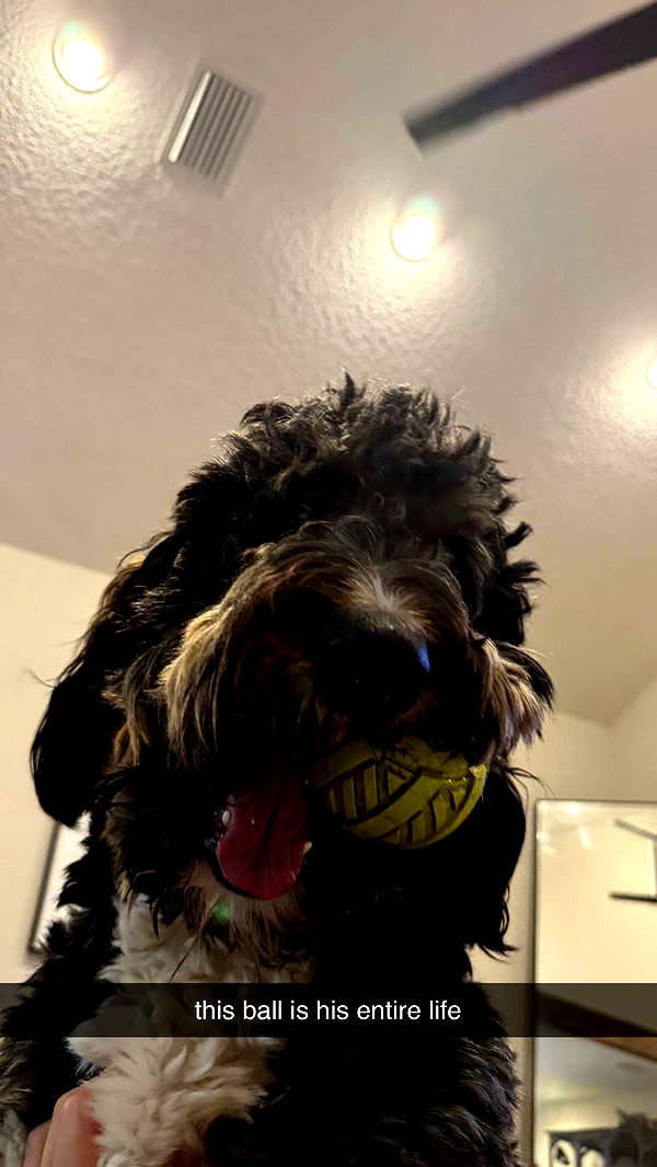 kkierstenking image ~ Altpins