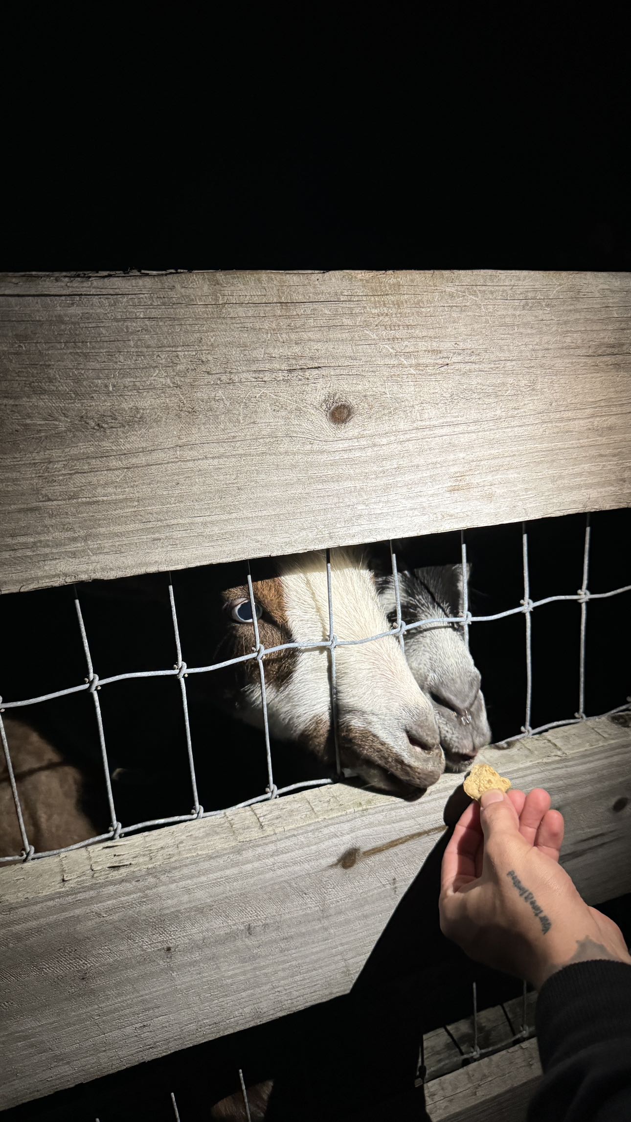 kkierstenking snapchat image archive image