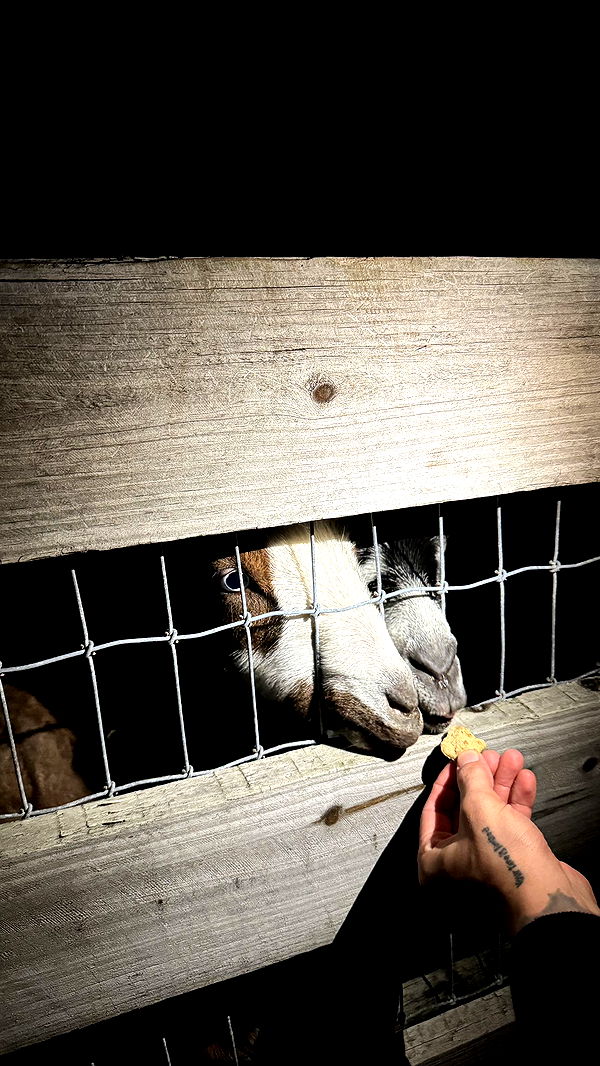 kkierstenking image ~ Altpins