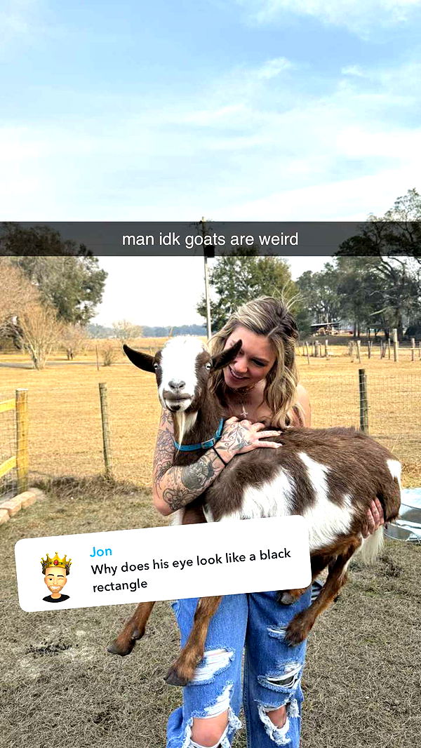 kkierstenking image ~ Altpins