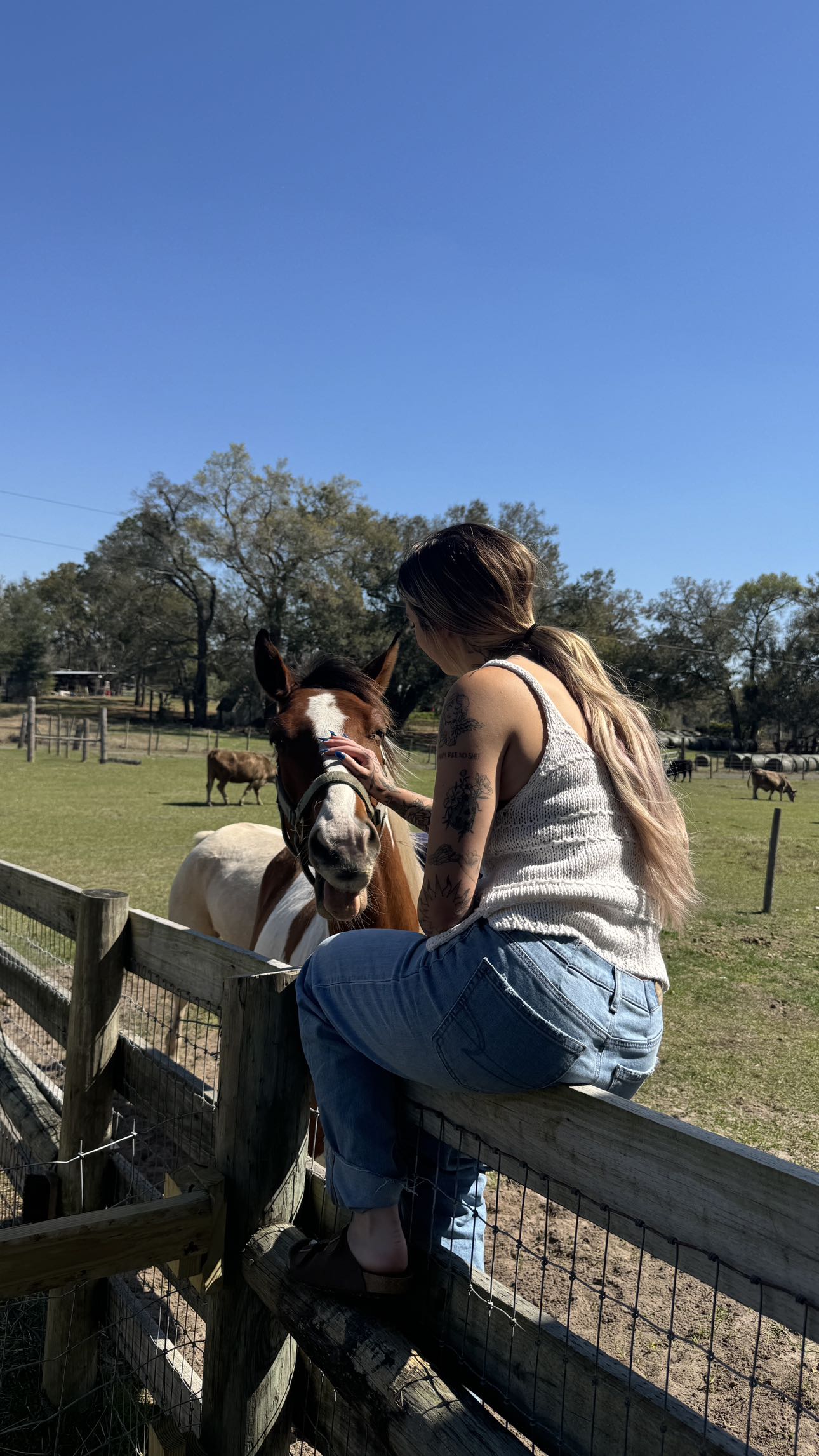 kkierstenking snapchat image archive image