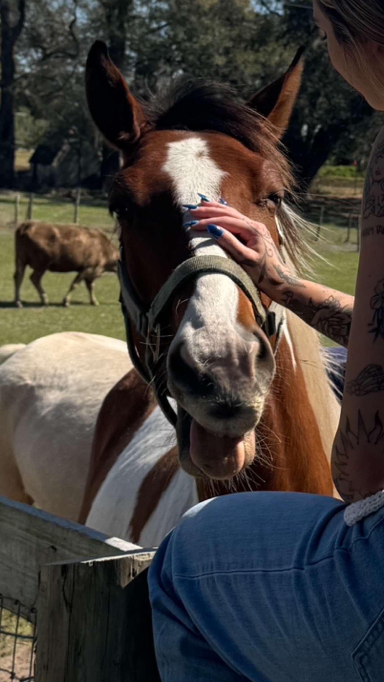 kkierstenking snapchat image archive image