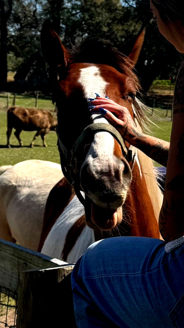 kkierstenking image ~ Altpins