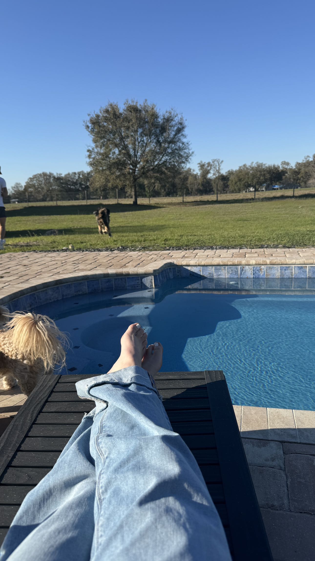 kkierstenking snapchat image archive image