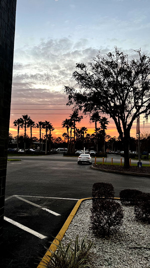 kkierstenking image ~ Altpins