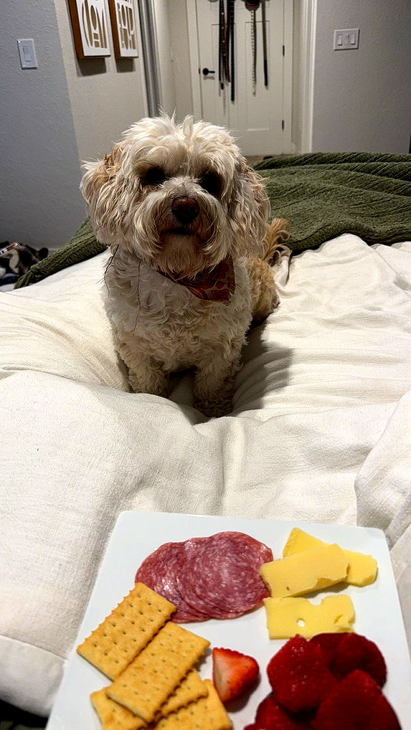 kkierstenking image ~ Altpins