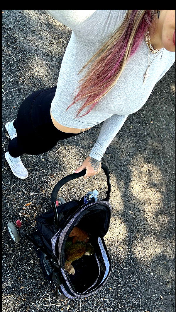 kkierstenking image ~ Altpins