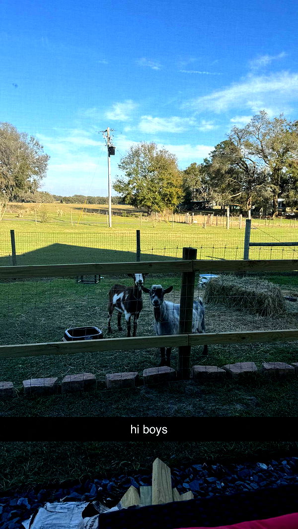 kkierstenking image ~ Altpins