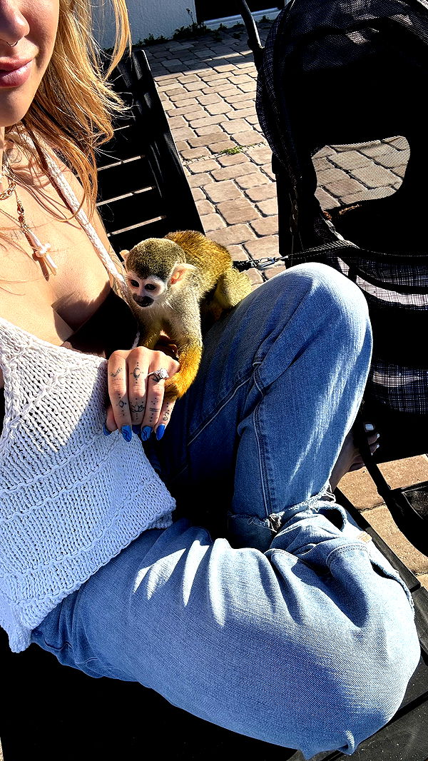 kkierstenking image ~ Altpins