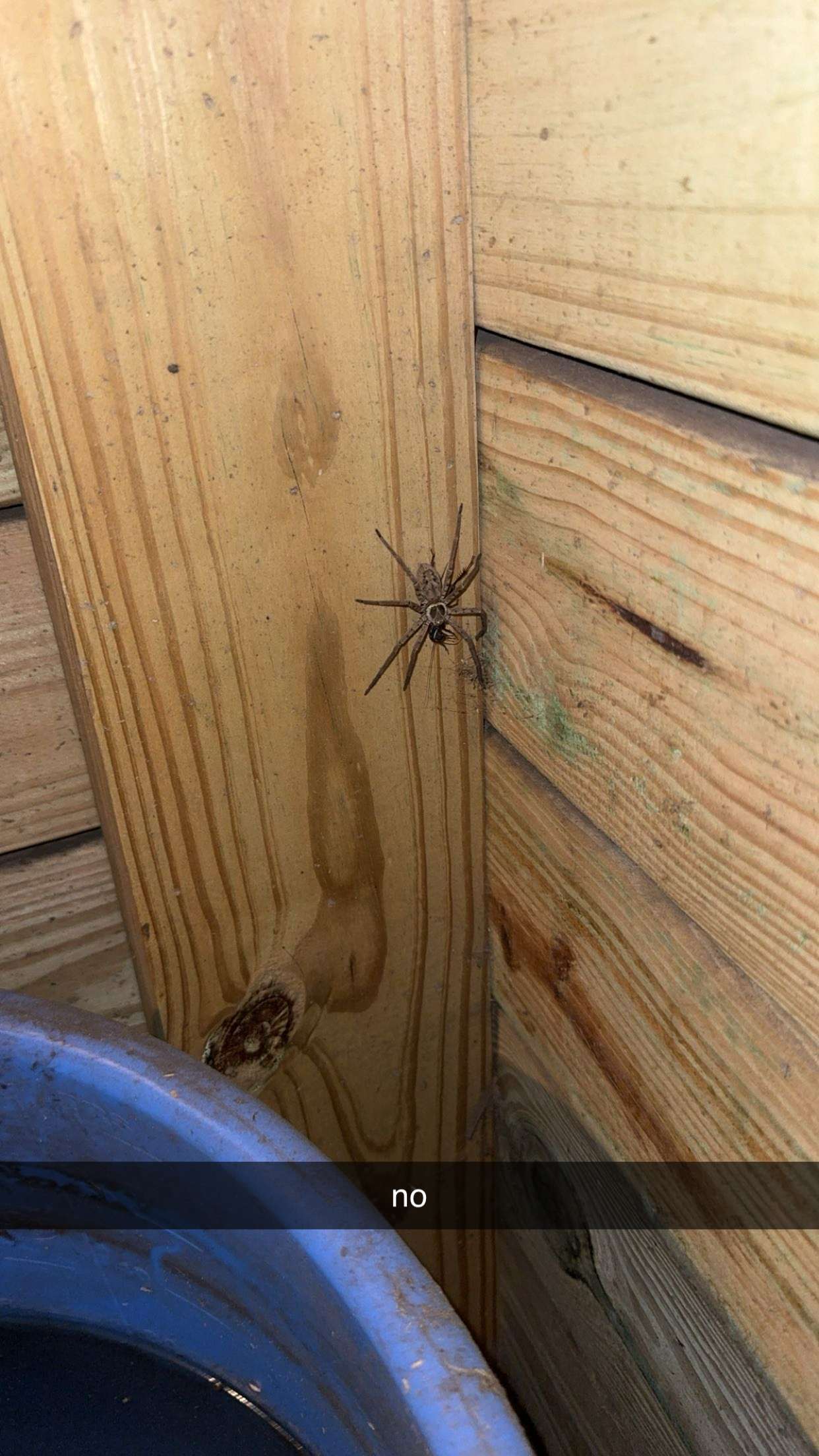 kkierstenking snapchat image archive image