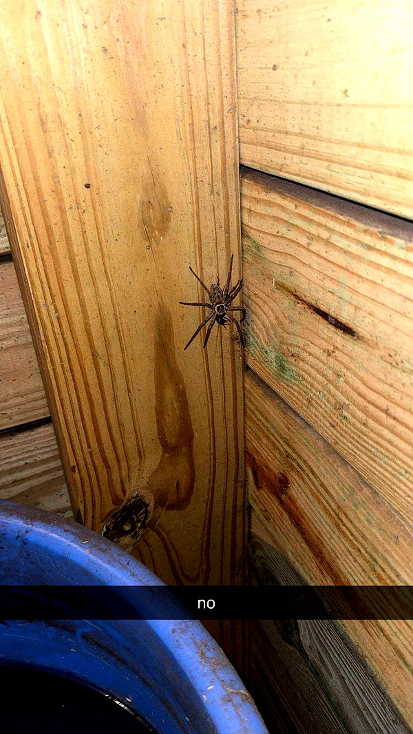 kkierstenking image ~ Altpins