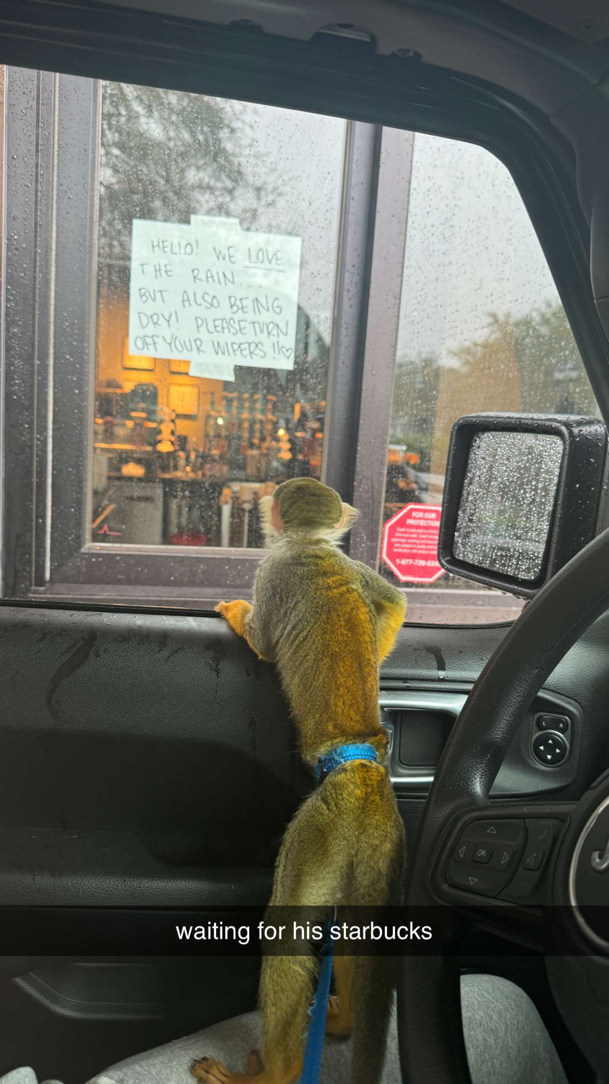 kkierstenking snapchat image archive image