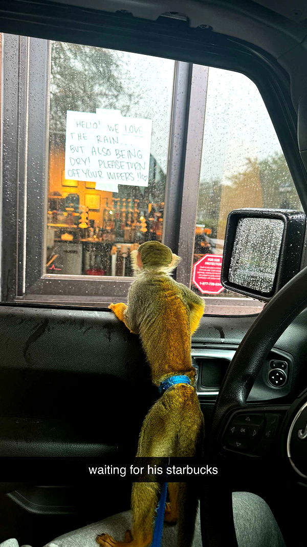 kkierstenking image ~ Altpins