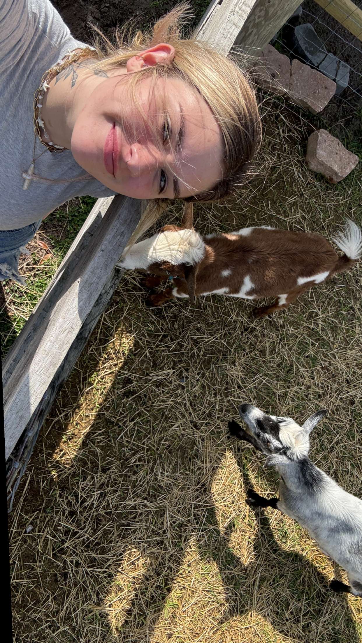 kkierstenking snapchat image archive image