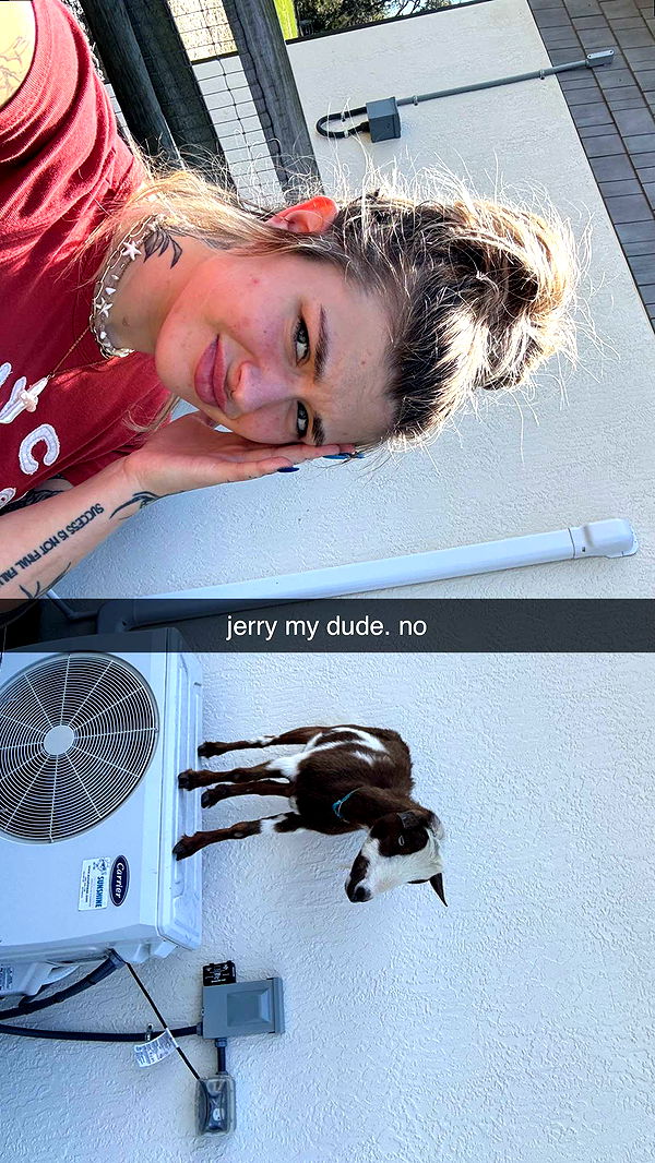 kkierstenking image ~ Altpins