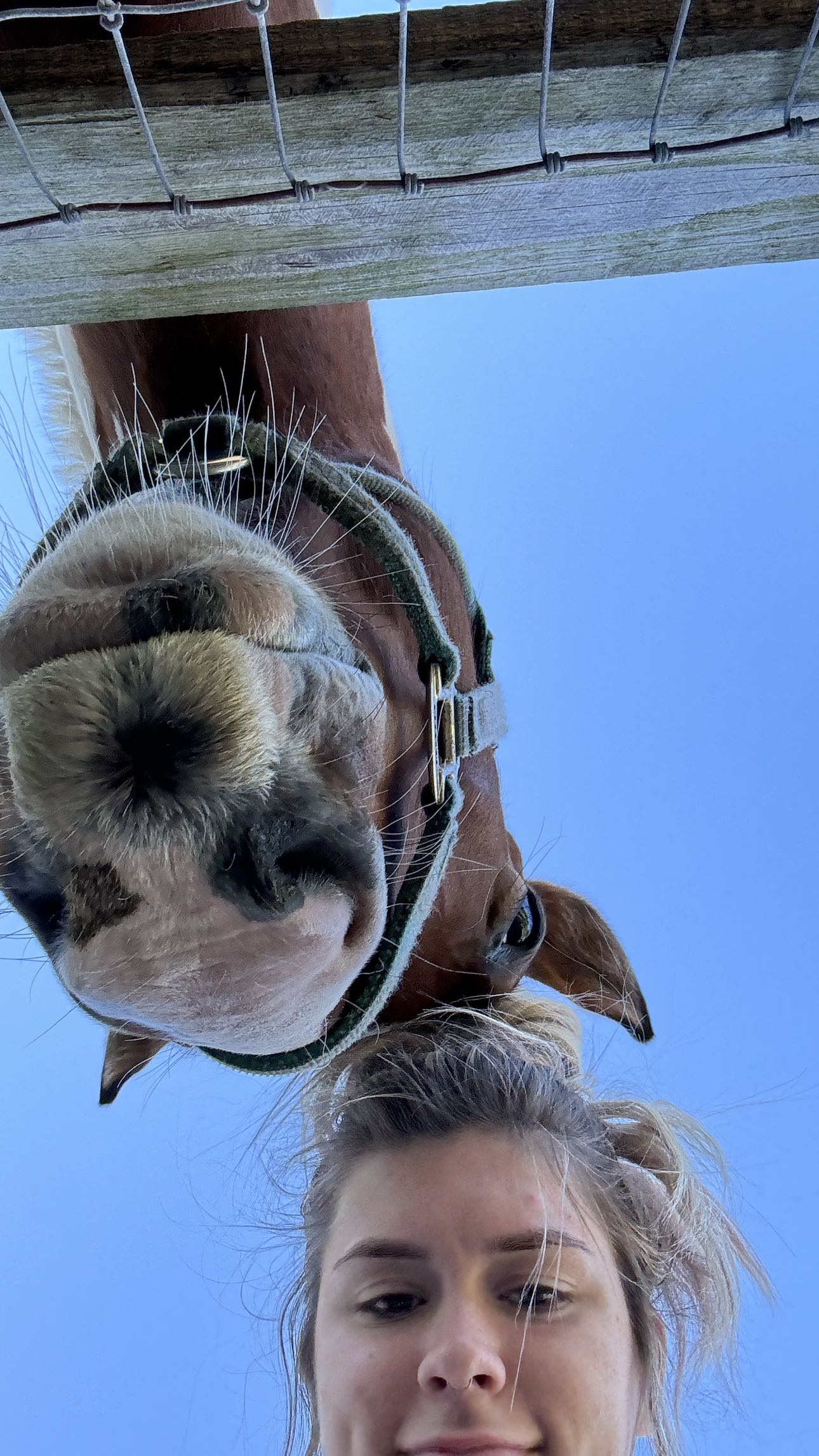 kkierstenking snapchat image archive image