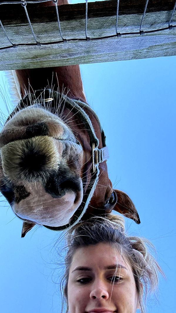 kkierstenking image ~ Altpins