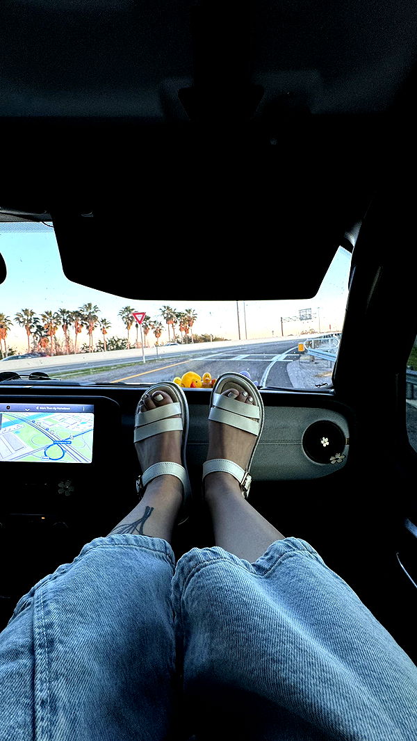 kkierstenking image ~ Altpins