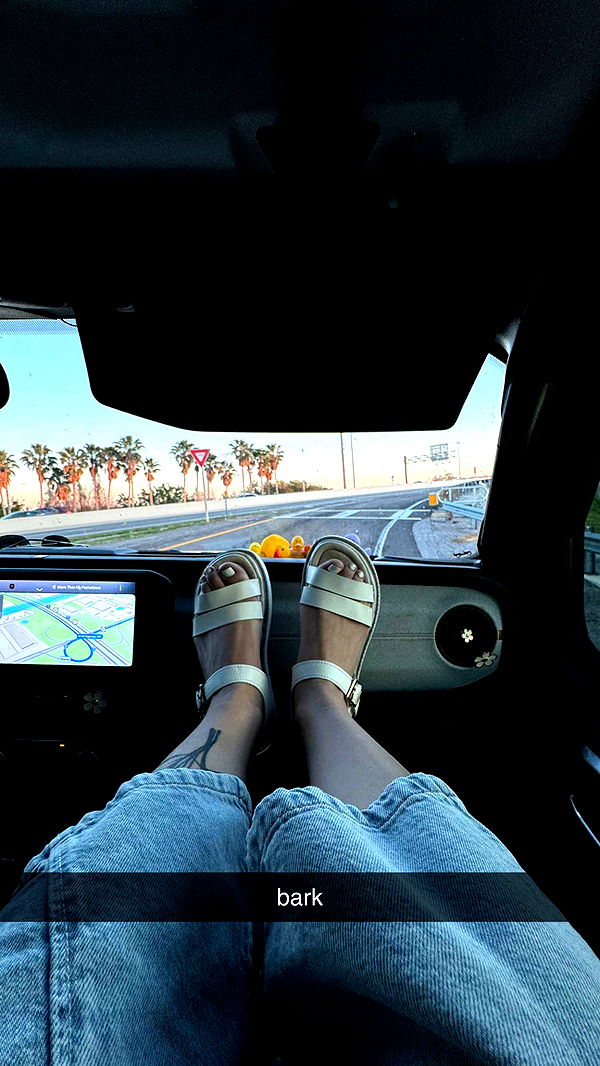 kkierstenking image ~ Altpins