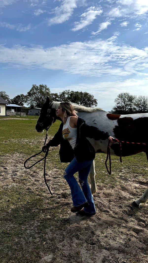 kkierstenking image ~ Altpins