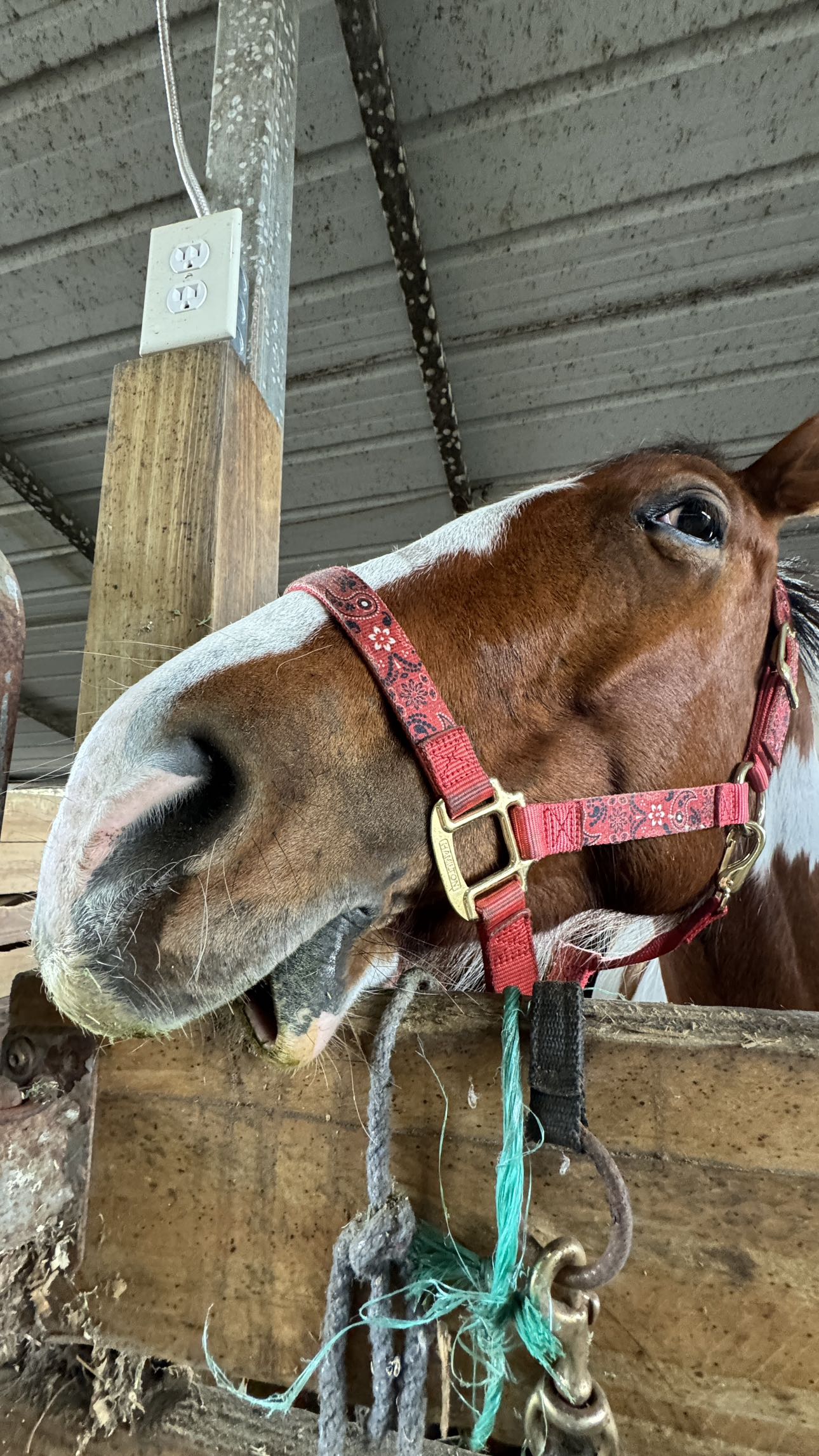 kkierstenking snapchat image archive image