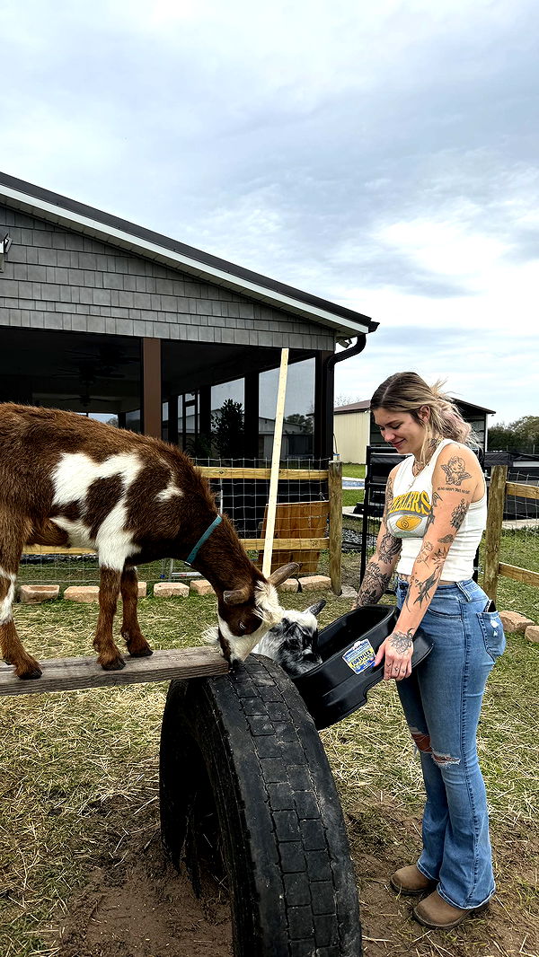 kkierstenking image ~ Altpins