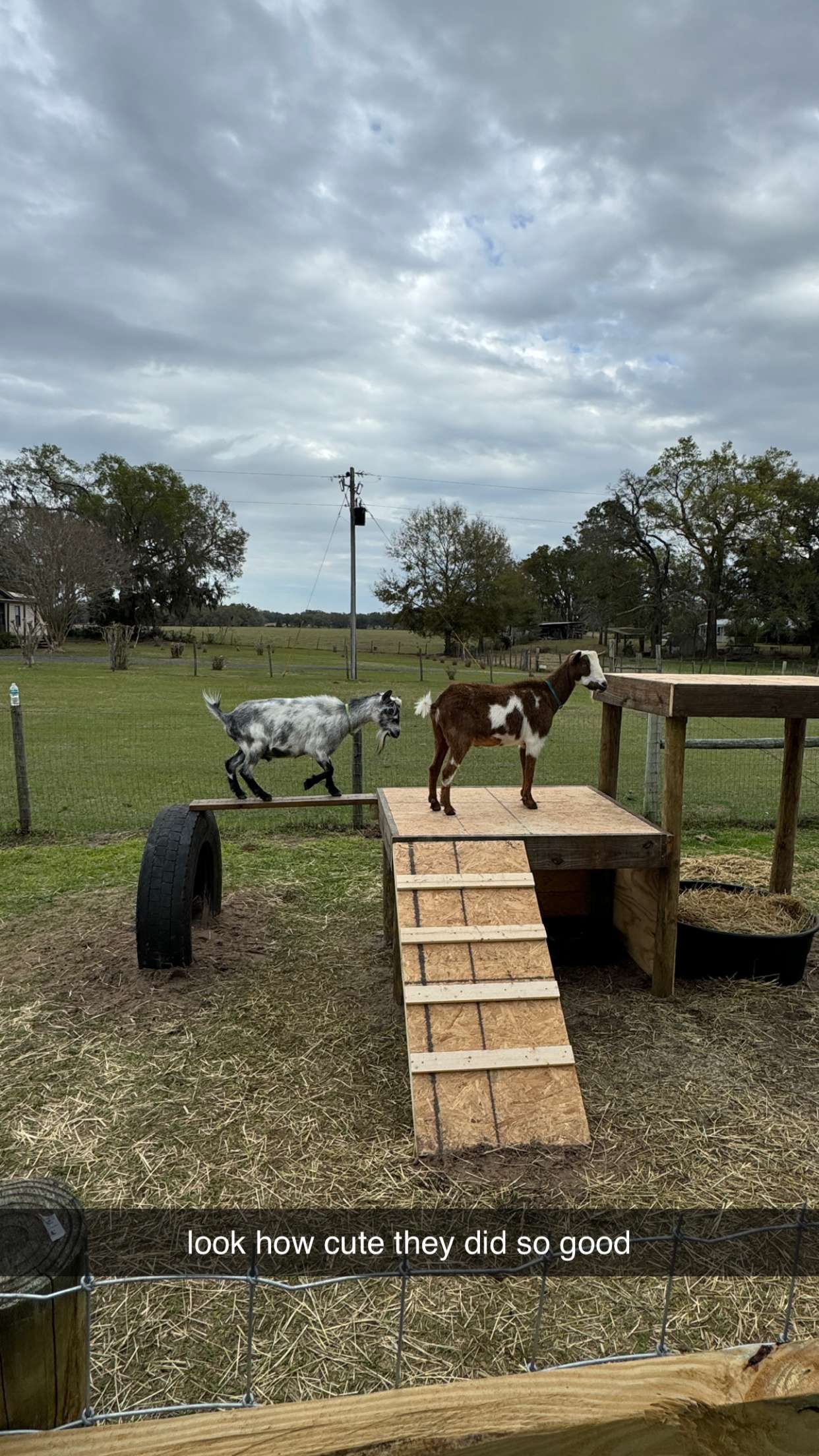 kkierstenking snapchat image archive image