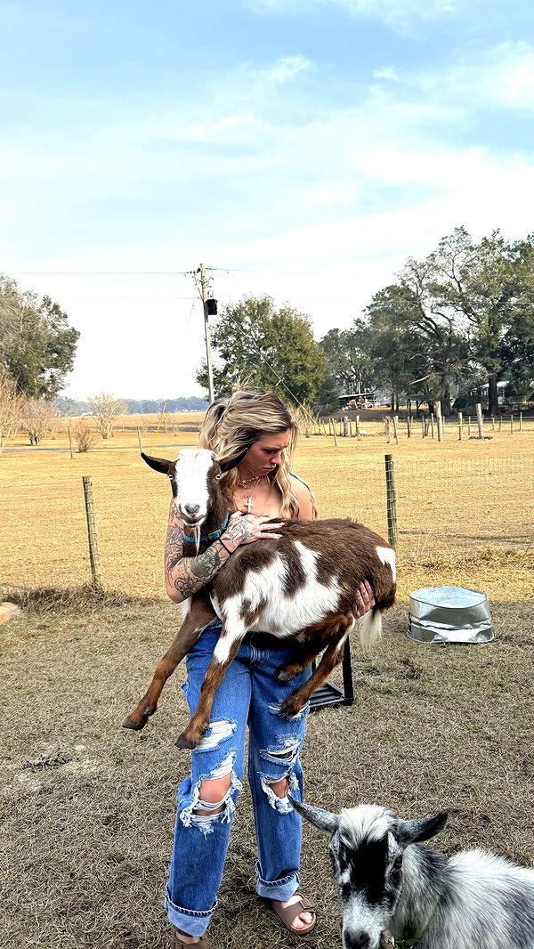 kkierstenking image ~ Altpins