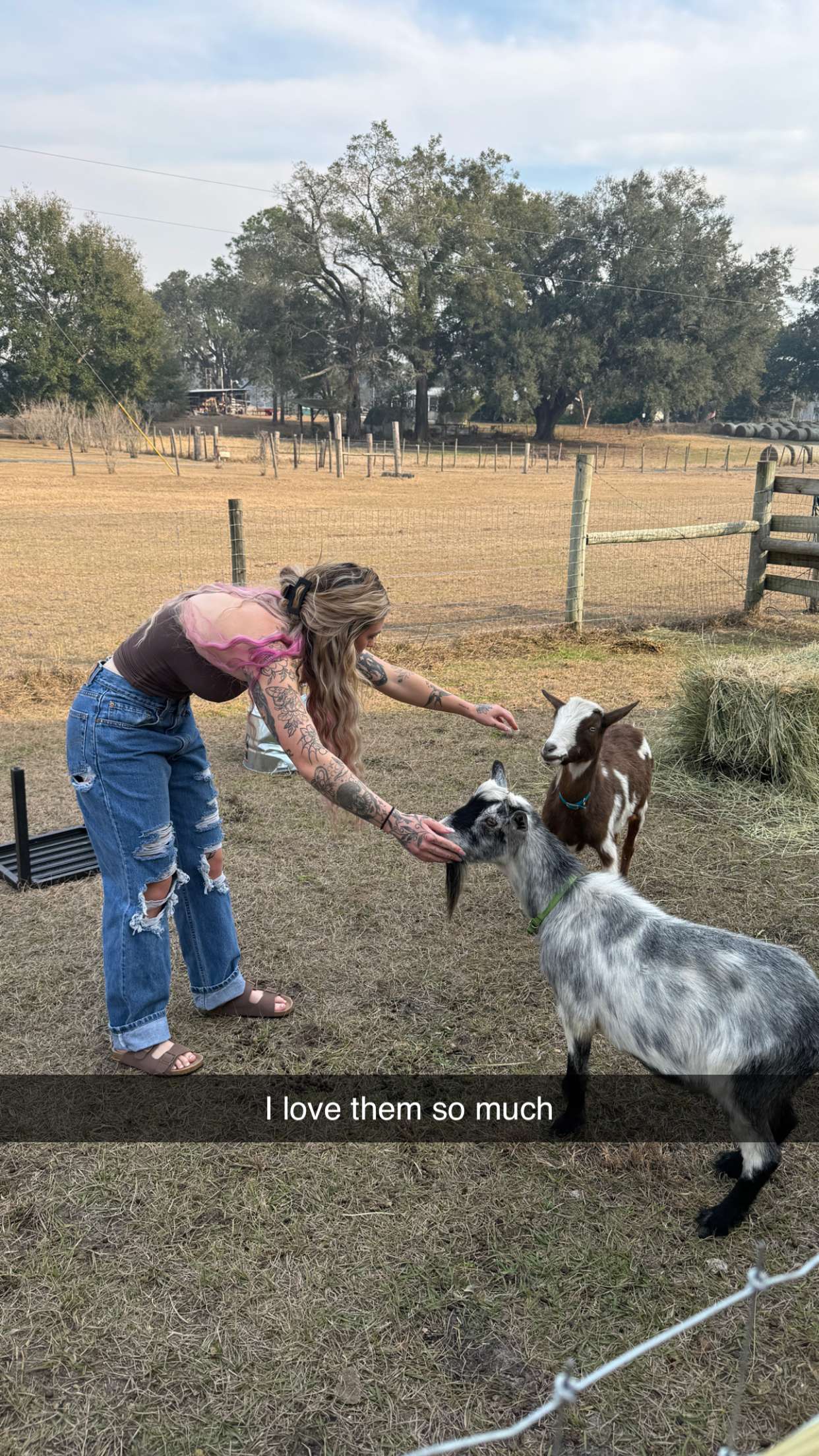 kkierstenking snapchat image archive image