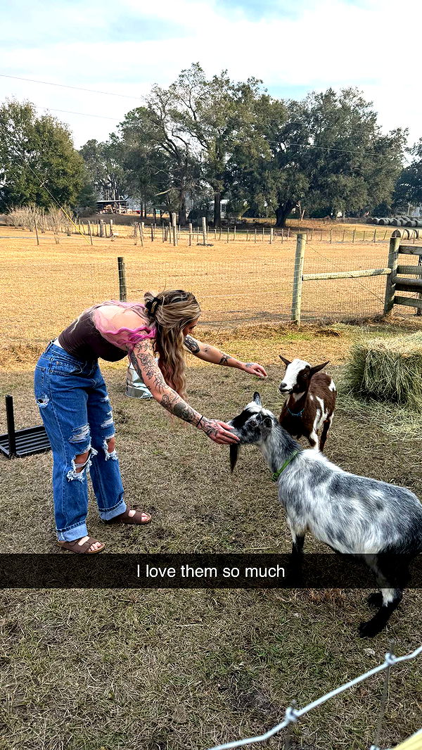 kkierstenking image ~ Altpins