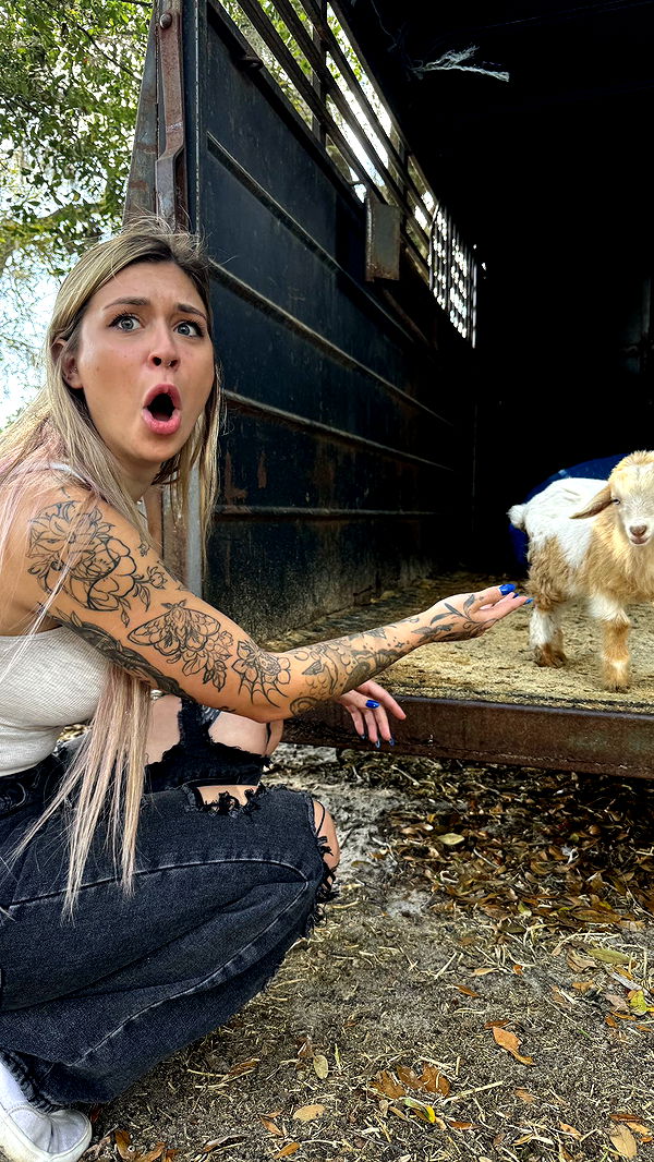 kkierstenking image ~ Altpins