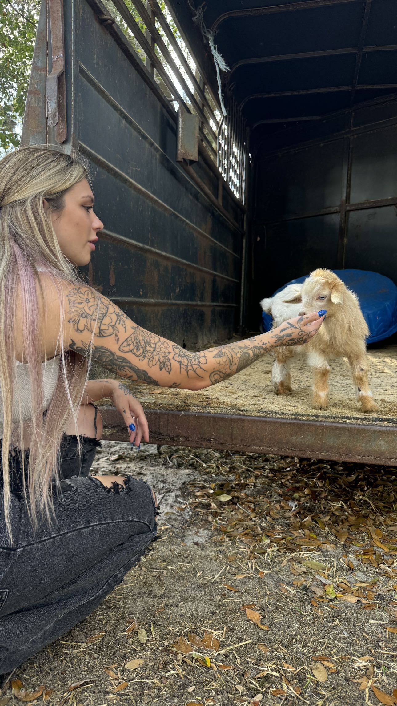 kkierstenking snapchat image archive image