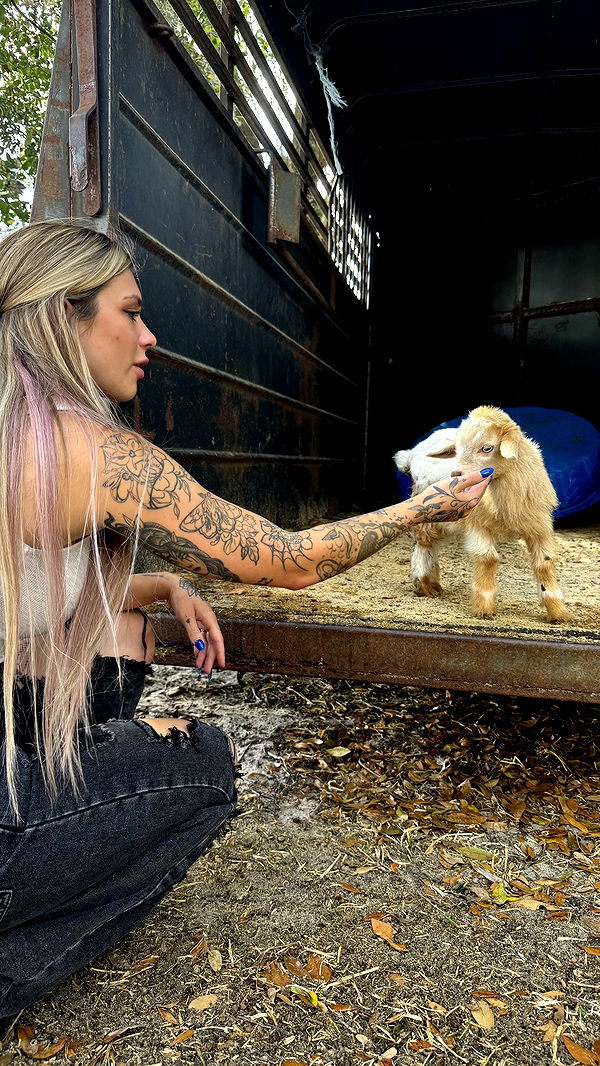 kkierstenking image ~ Altpins