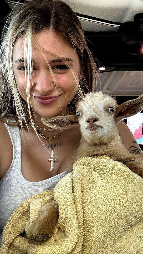 kkierstenking image ~ Altpins