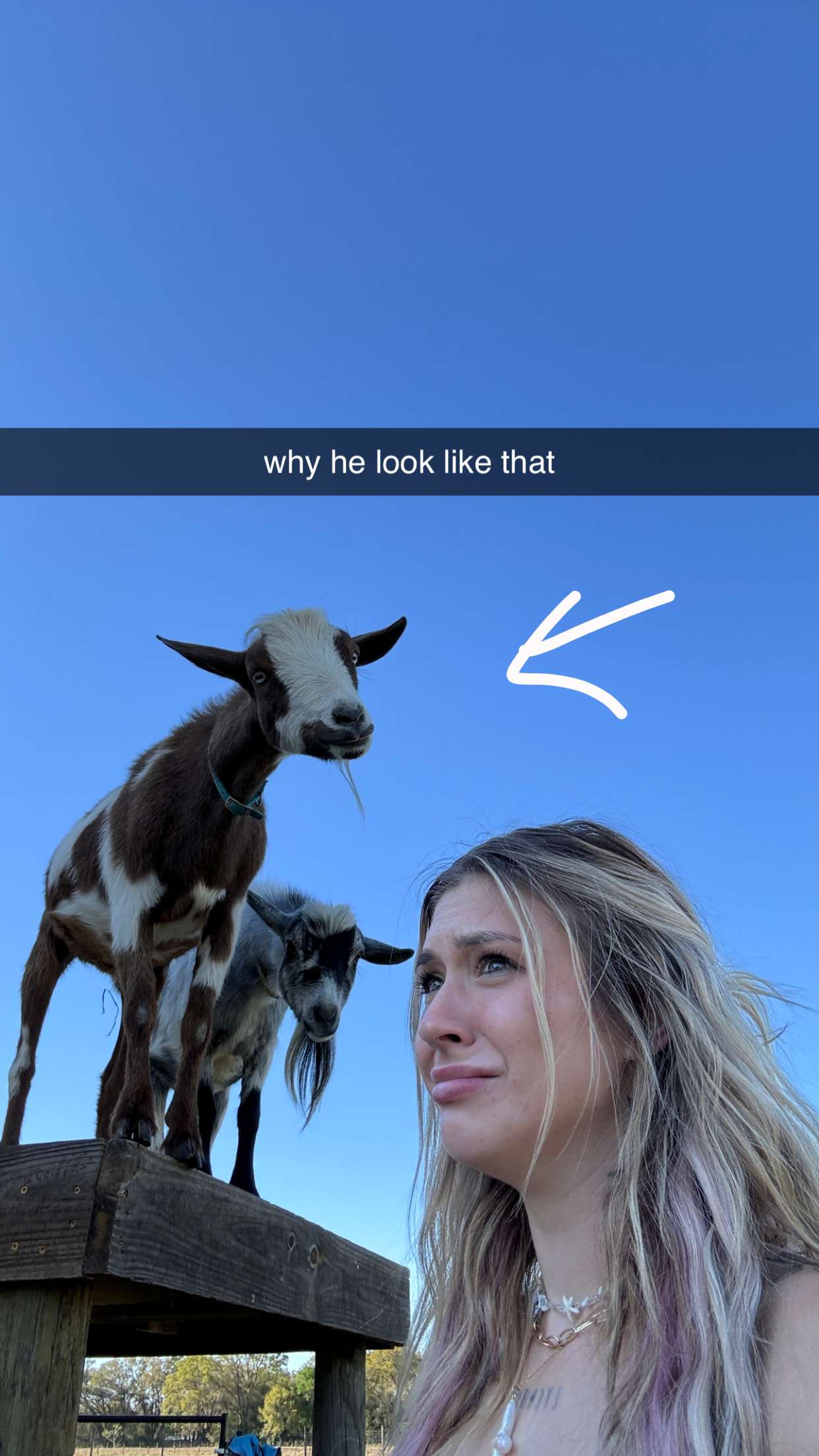 kkierstenking snapchat image archive image