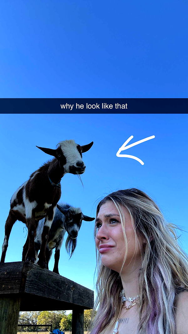 kkierstenking image ~ Altpins