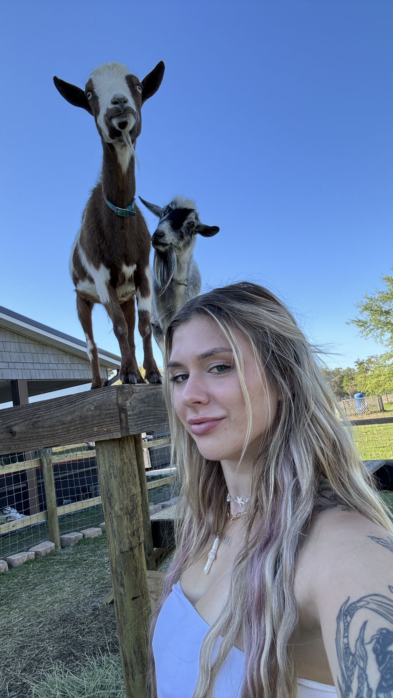 kkierstenking snapchat image archive image