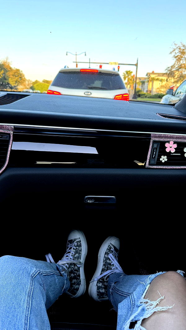 kkierstenking image ~ Altpins