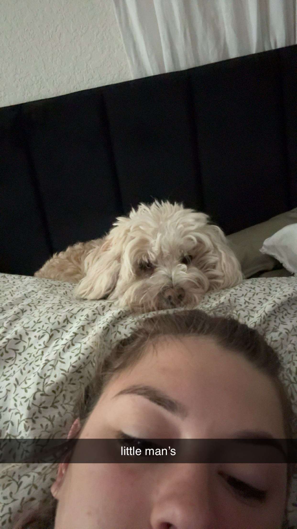 kkierstenking snapchat image archive image