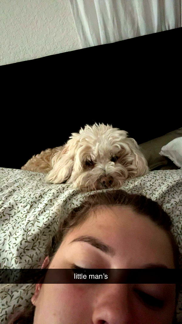 kkierstenking image ~ Altpins