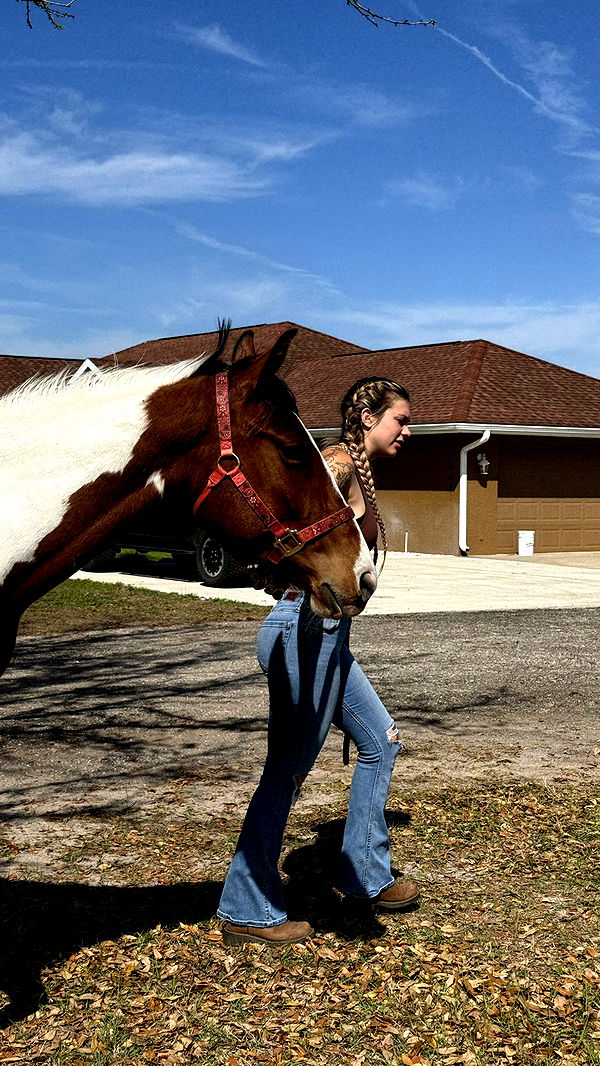 kkierstenking image ~ Altpins